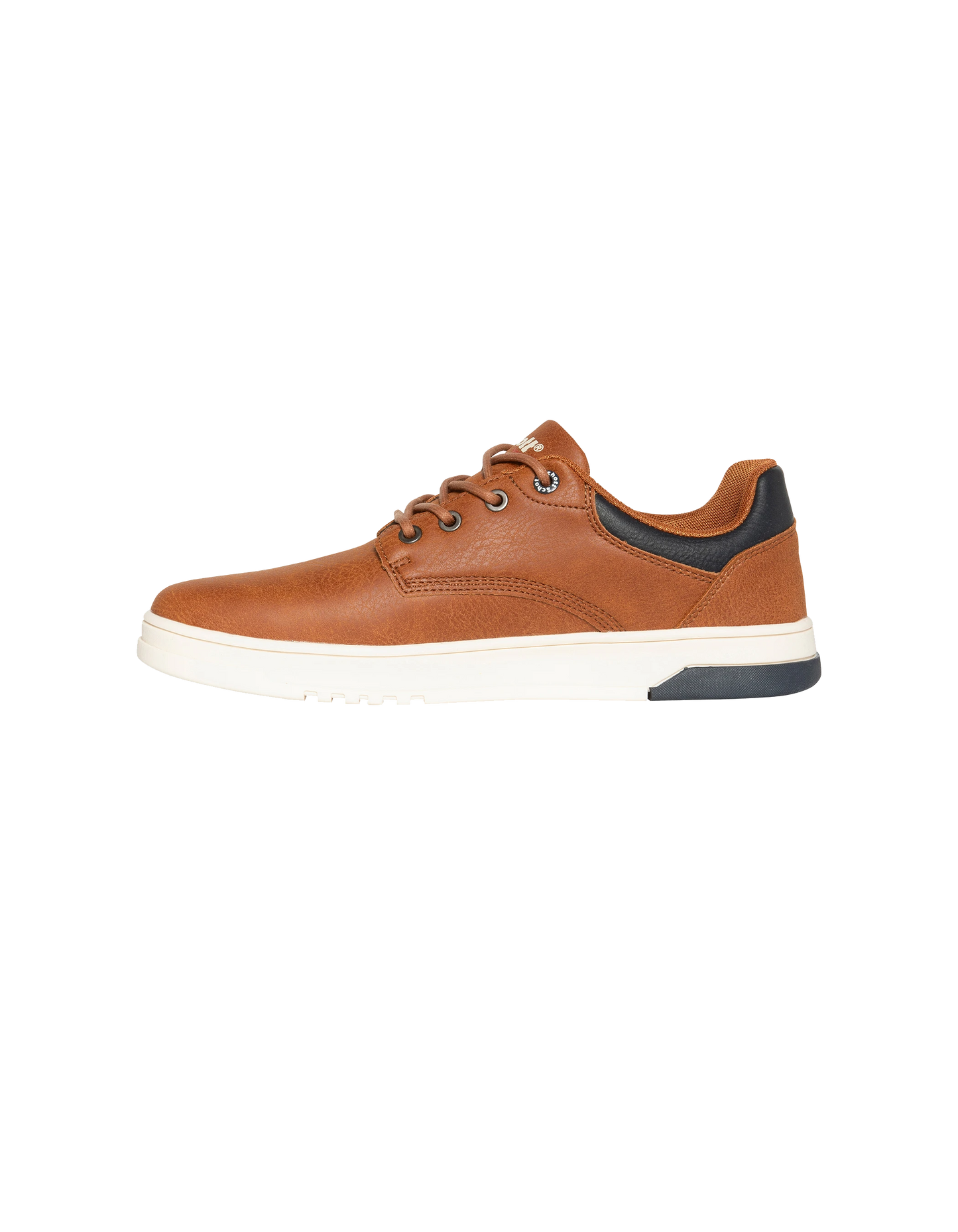 Burley Chestnut und dunkelblaue Turnschuhe