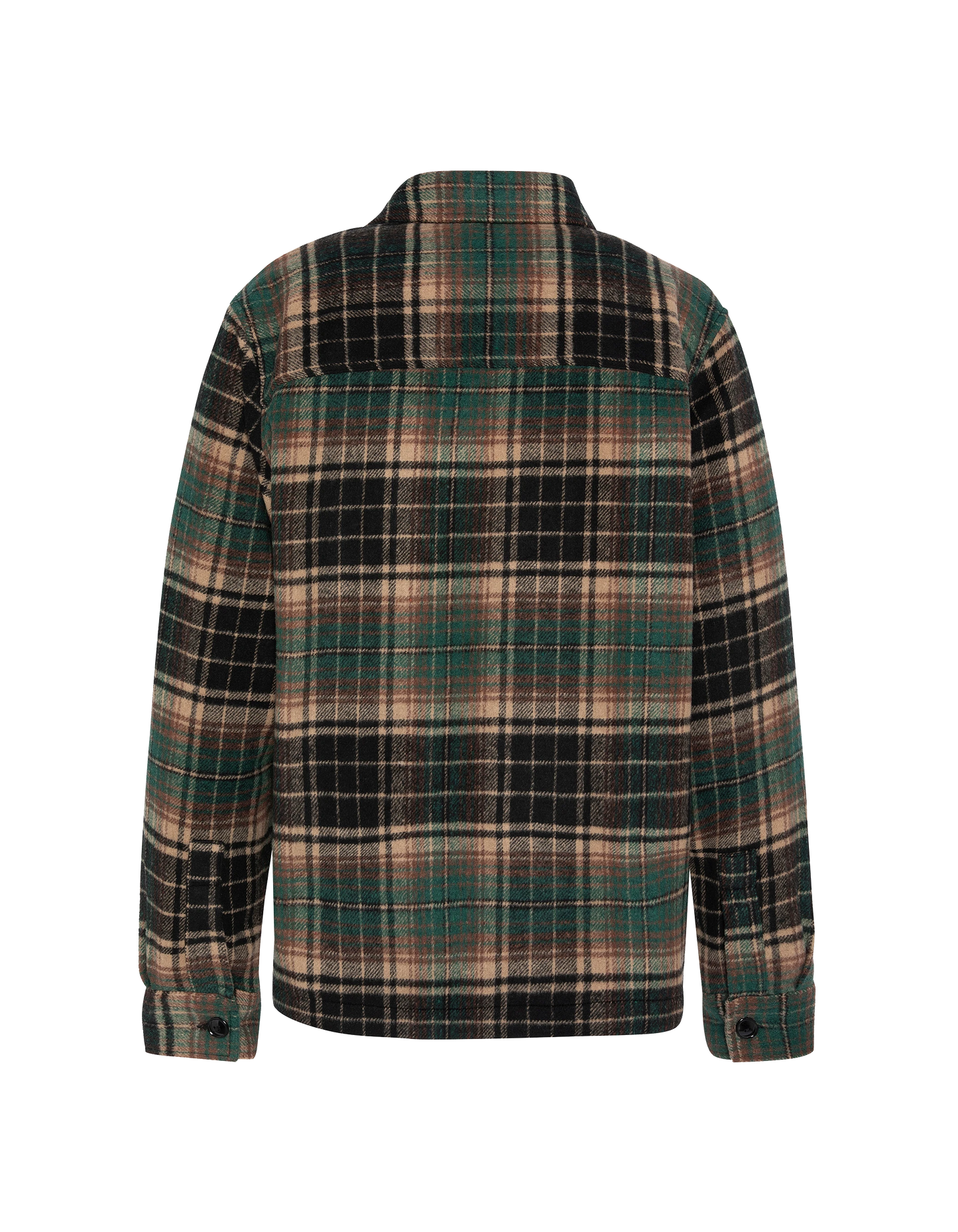 Piastrelle verdi della foresta