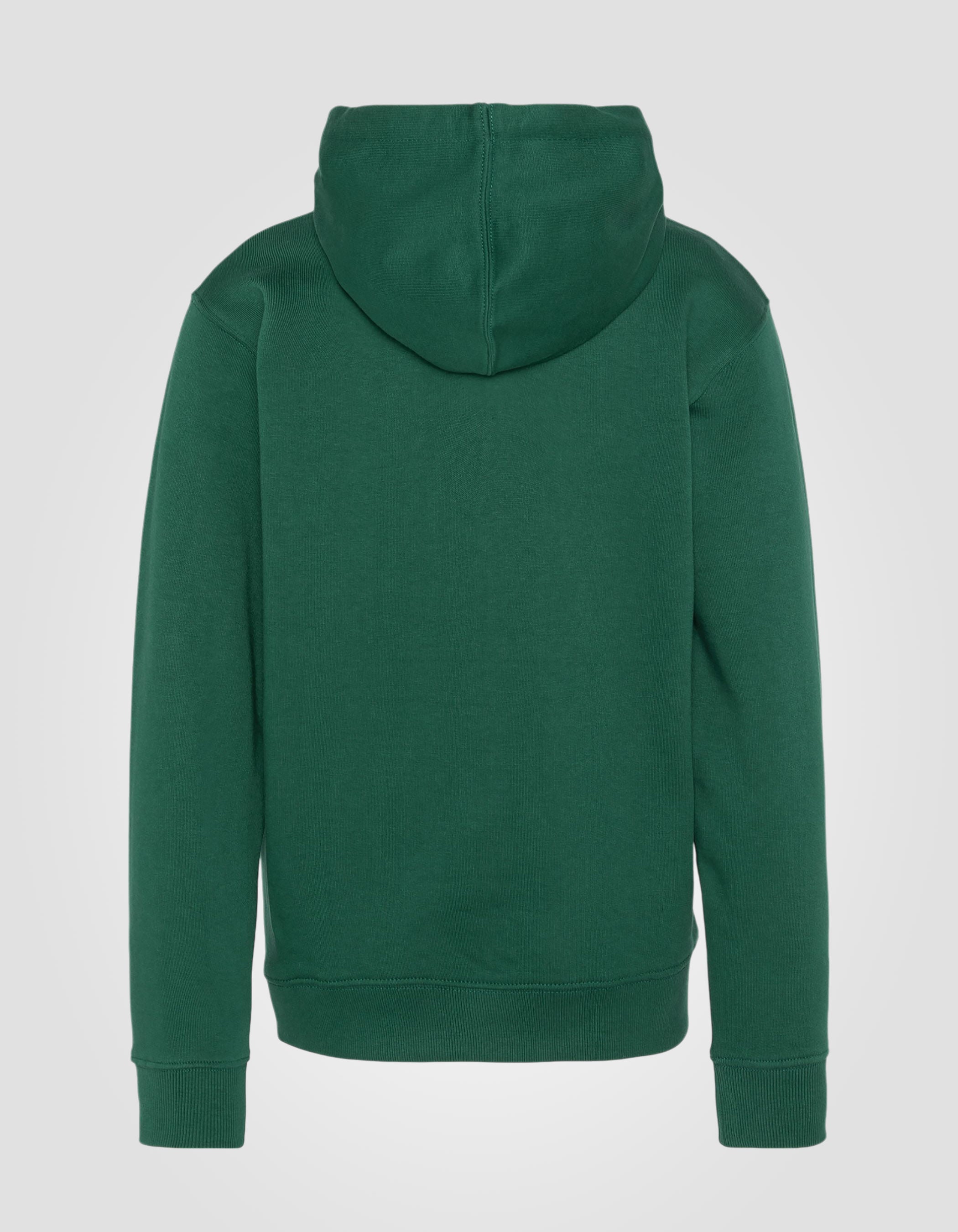 Grün bedrucktes Kapuzen -Sweatshirt-2