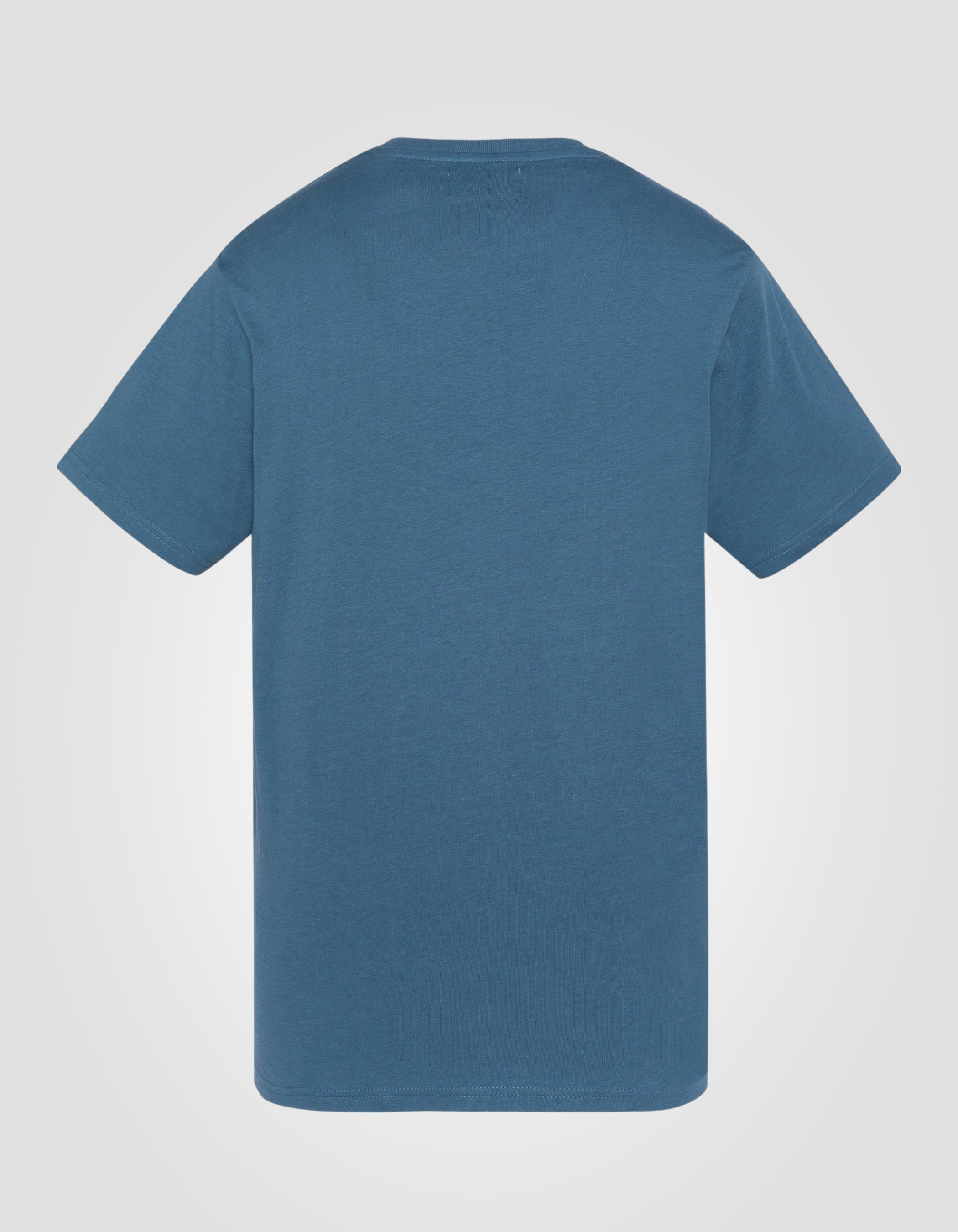 Blue embroidered t-shirt-2