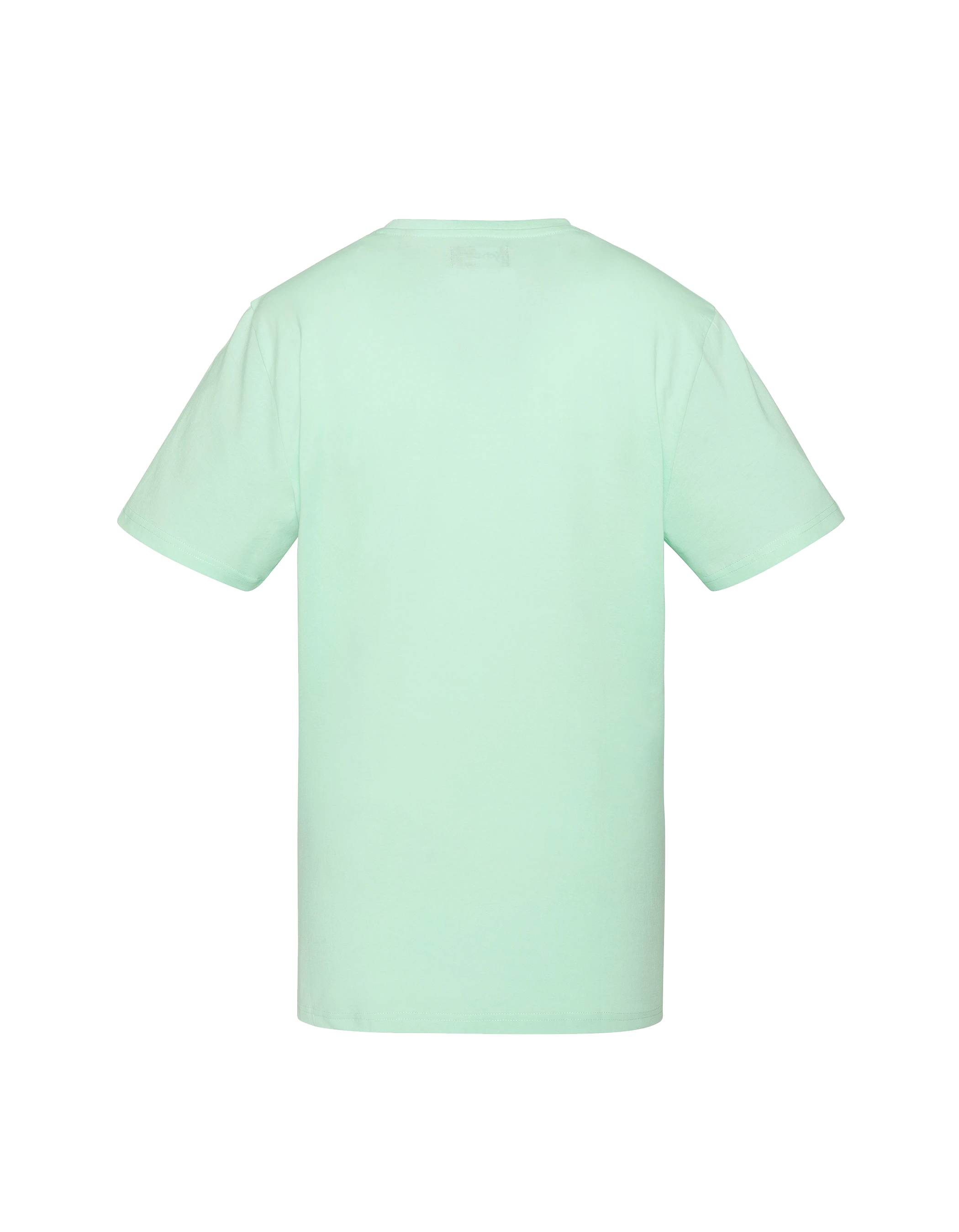Pastellgrünes besticktes T-Shirt-2