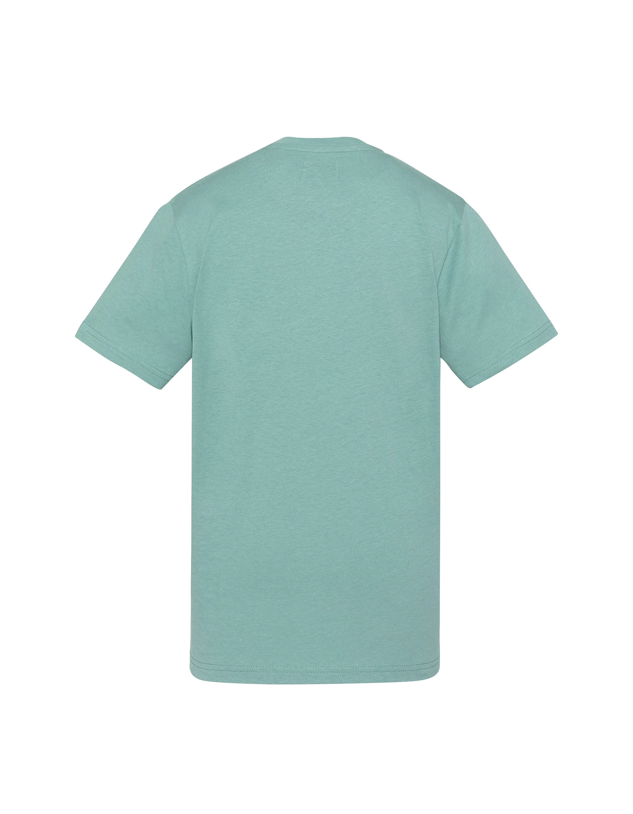 Camiseta de color caqui sabio para niños-2